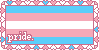 A stamp of a trans pride flag with the word 'pride' in the lower left corner